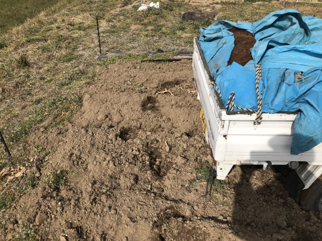 f:id:tomtom1ono:20190310092527j:plain