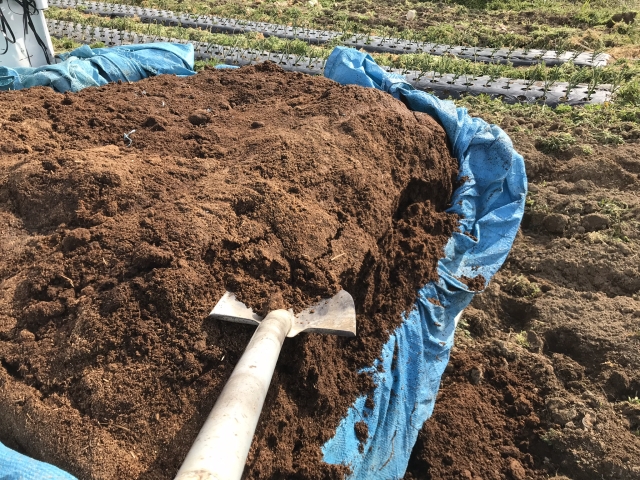 f:id:tomtom1ono:20190310092642j:plain