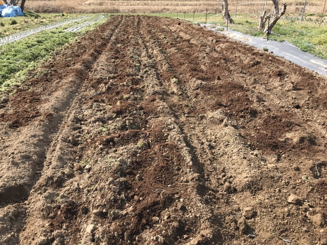 f:id:tomtom1ono:20190310095332j:plain