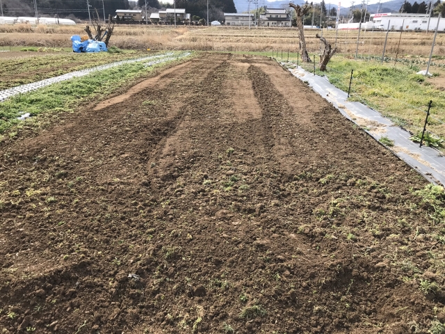 f:id:tomtom1ono:20190310105220j:plain