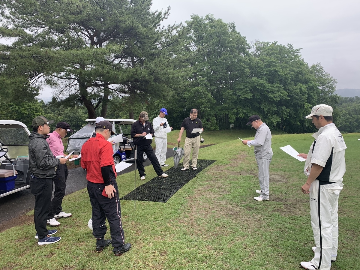 f:id:tomtom1ono:20190615090011j:plain