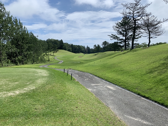 f:id:tomtom1ono:20190713092141j:plain