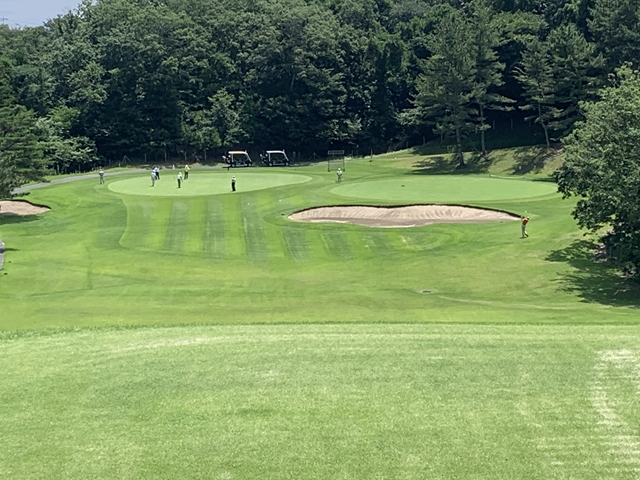 f:id:tomtom1ono:20190713113229j:plain