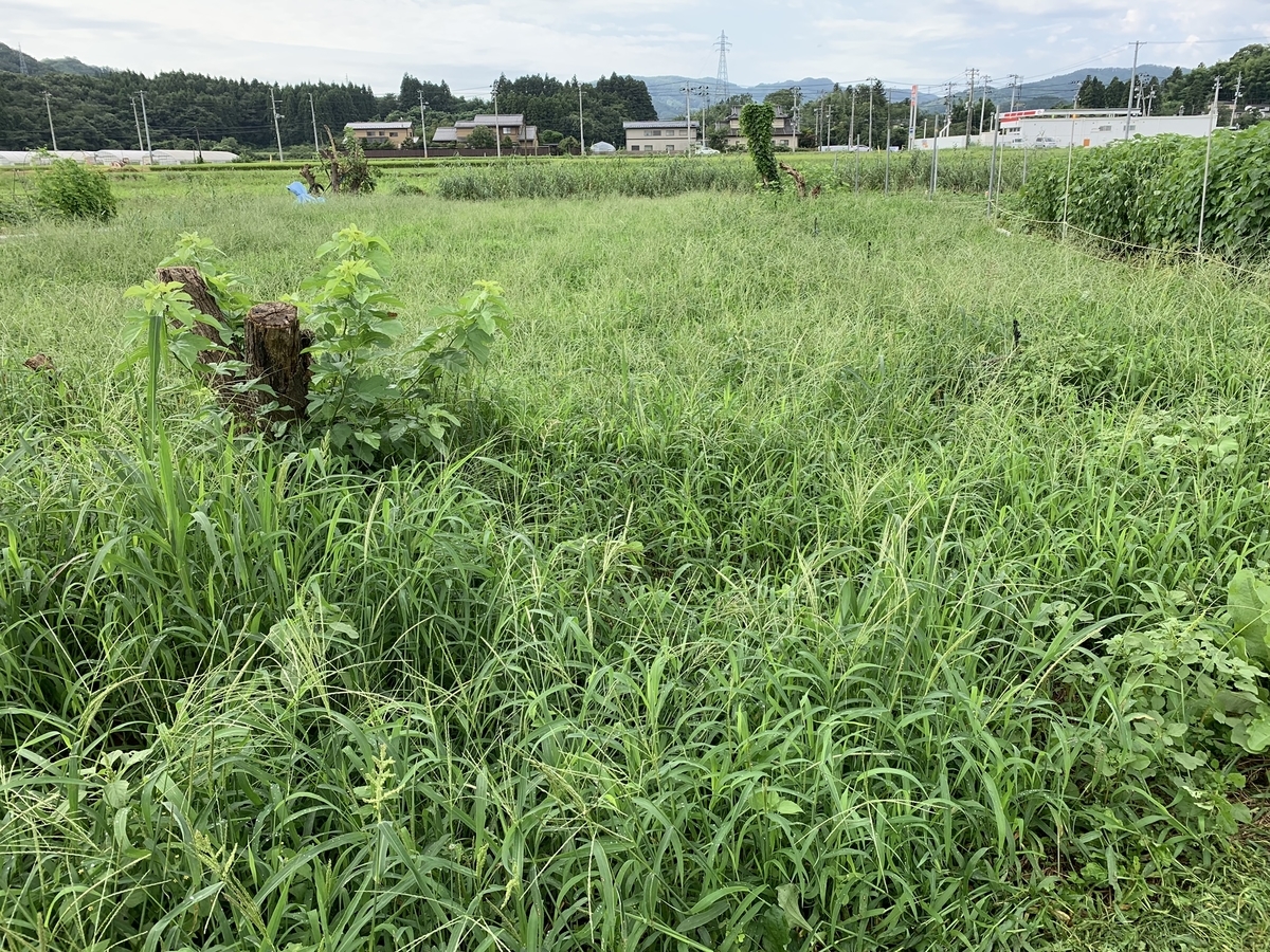 f:id:tomtom1ono:20190831091711j:plain