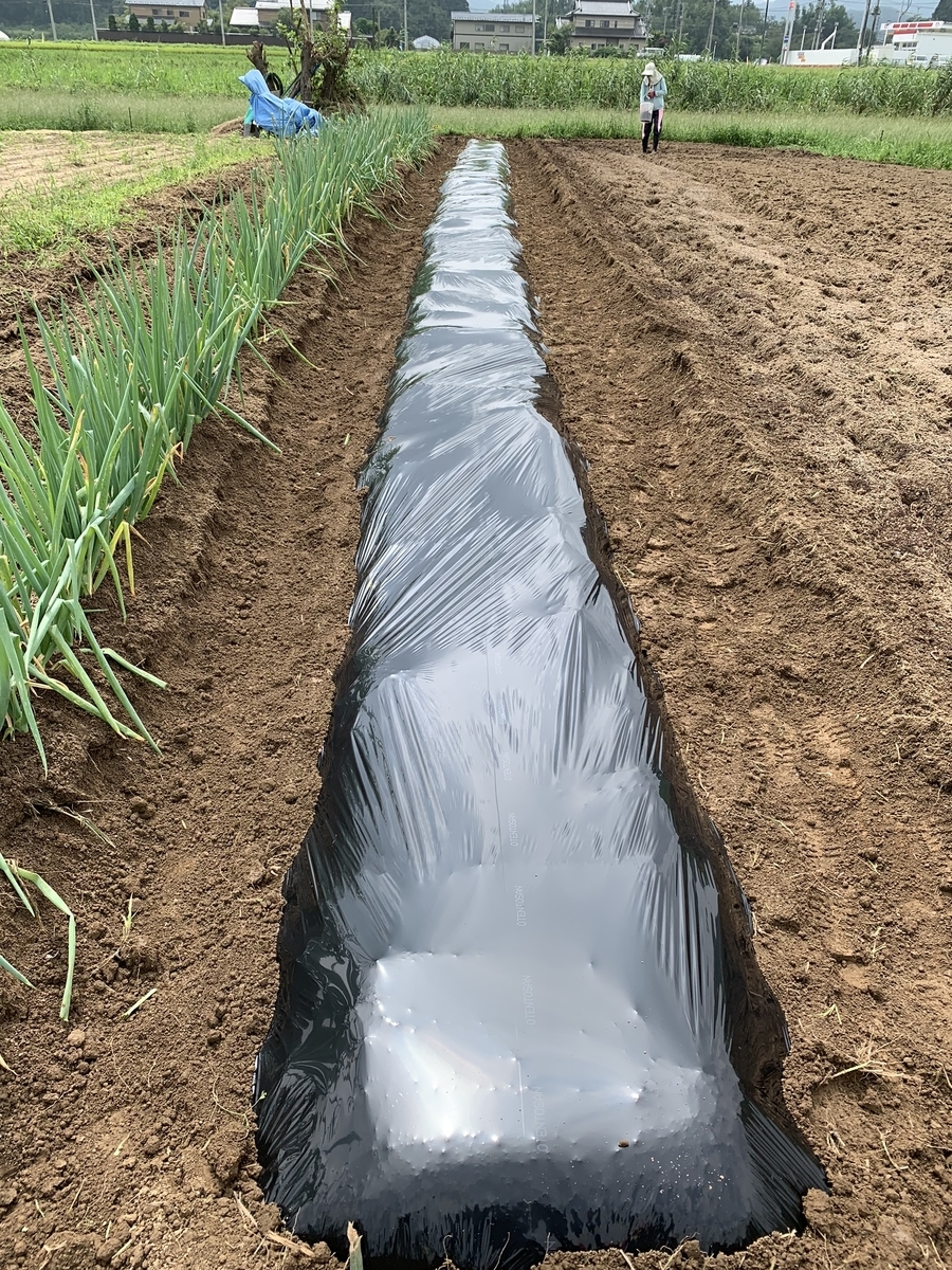 f:id:tomtom1ono:20190907113424j:plain