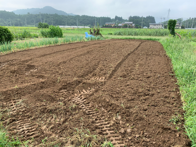 f:id:tomtom1ono:20190907205049p:plain