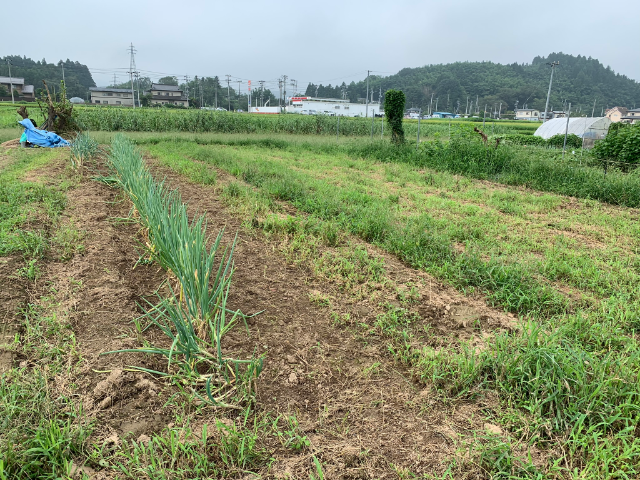 f:id:tomtom1ono:20190907205138p:plain