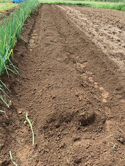 f:id:tomtom1ono:20190907210149p:plain