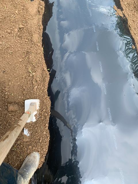 f:id:tomtom1ono:20190907210224p:plain