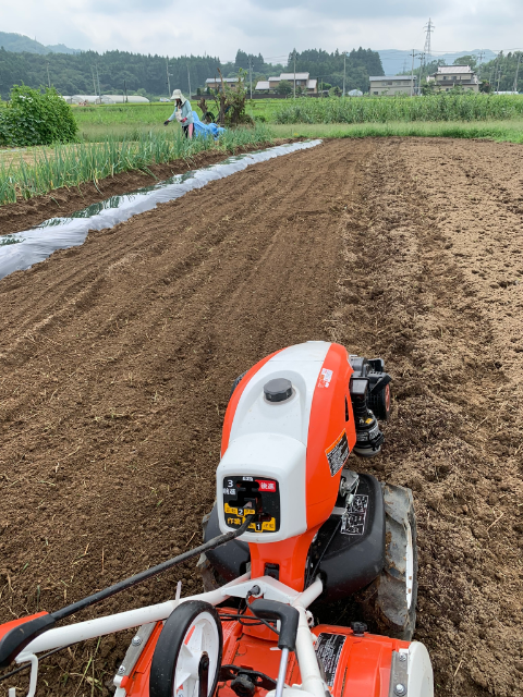 f:id:tomtom1ono:20190907210323p:plain