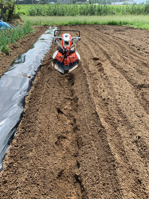 f:id:tomtom1ono:20190907210636p:plain