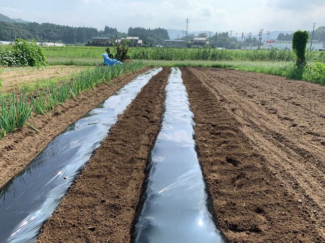 f:id:tomtom1ono:20190907210657p:plain