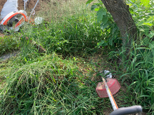 f:id:tomtom1ono:20190907211033p:plain