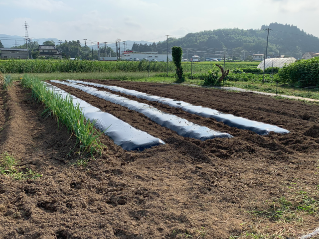 f:id:tomtom1ono:20190907211149p:plain