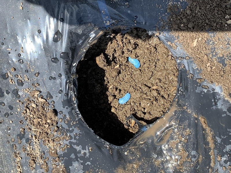 f:id:tomtom1ono:20210515200122j:plain