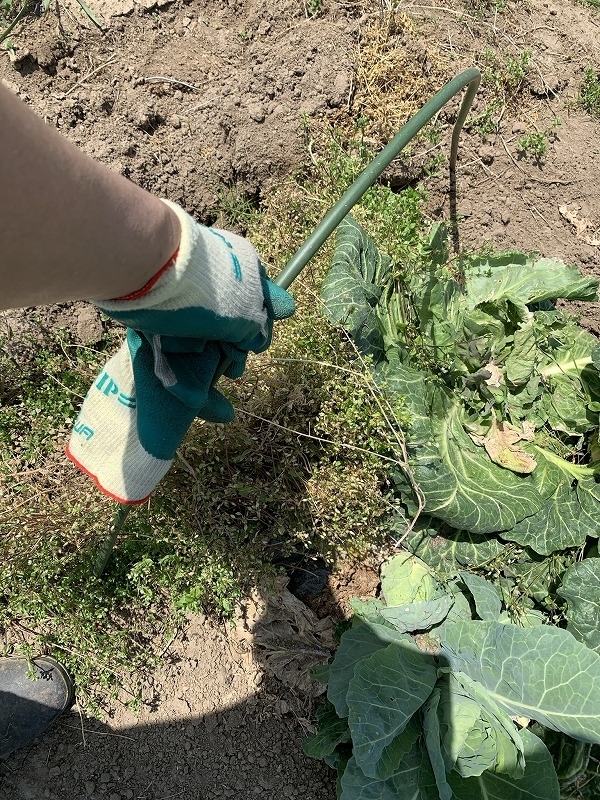 f:id:tomtom1ono:20210515200223j:plain