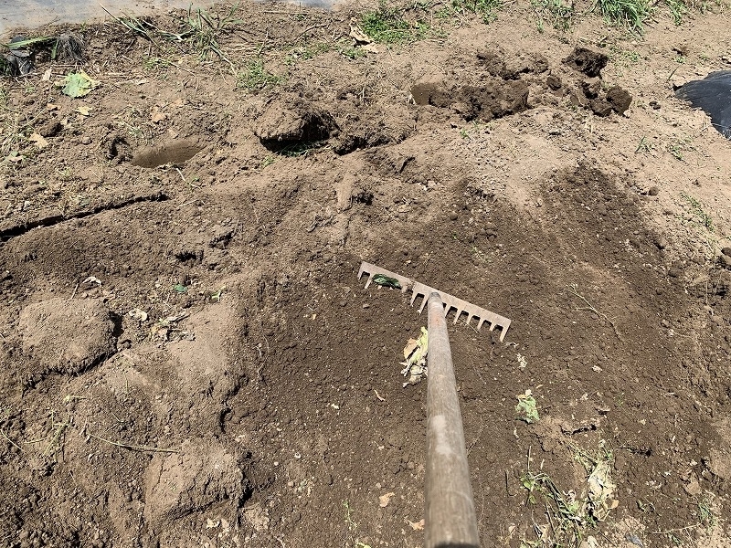 f:id:tomtom1ono:20210515202312j:plain