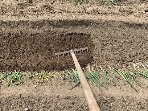 f:id:tomtom1ono:20210515202448j:plain