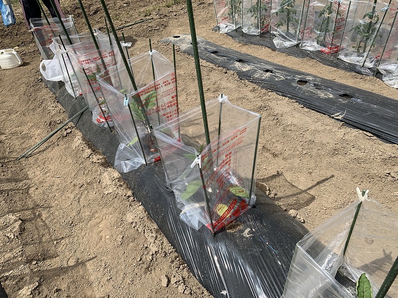 f:id:tomtom1ono:20210515204446j:plain