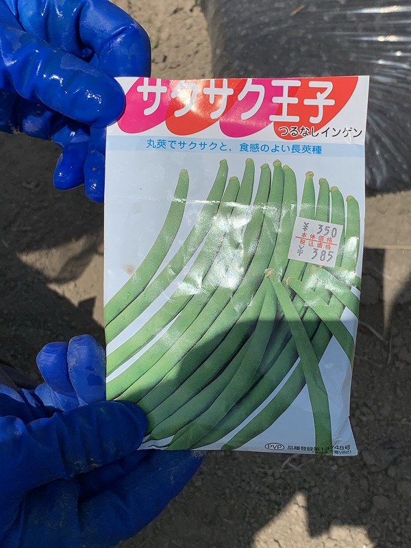 f:id:tomtom1ono:20210515205826j:plain