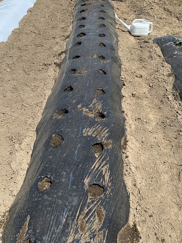 f:id:tomtom1ono:20210515212209j:plain