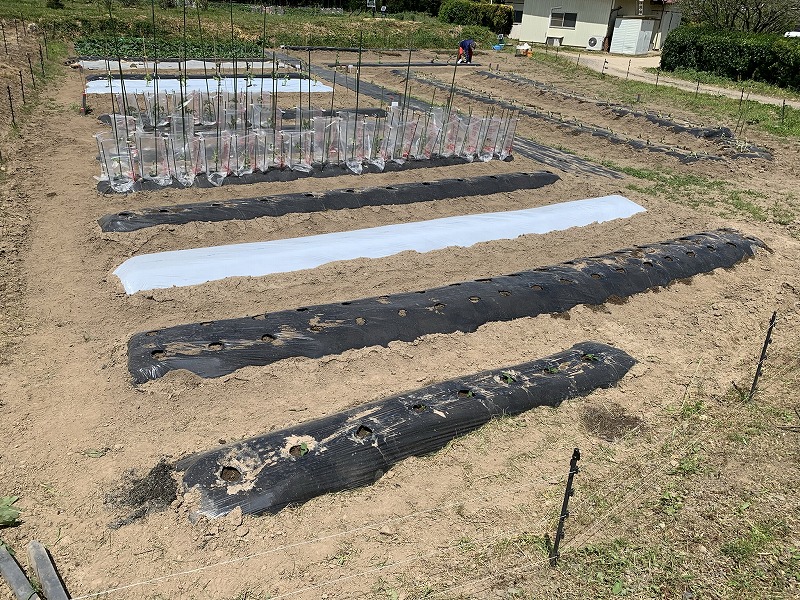 f:id:tomtom1ono:20210515221648j:plain