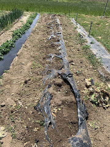 f:id:tomtom1ono:20210515223420j:plain