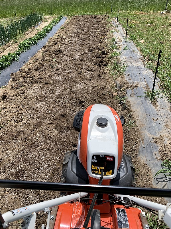 f:id:tomtom1ono:20210515224029j:plain