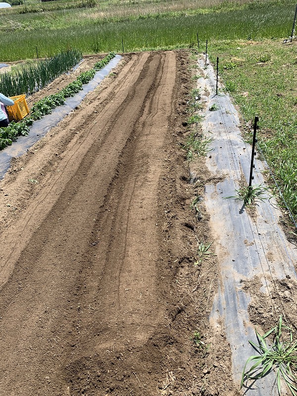 f:id:tomtom1ono:20210515224105j:plain