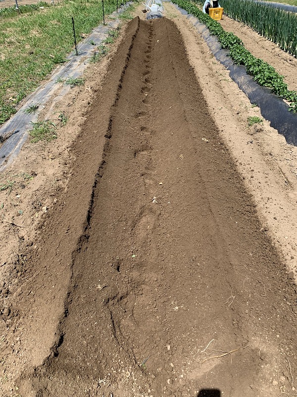 f:id:tomtom1ono:20210515224218j:plain