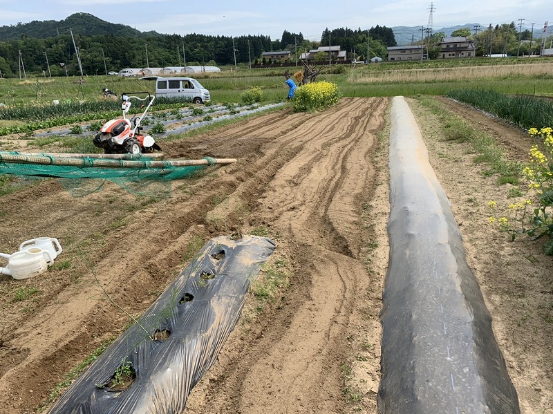 f:id:tomtom1ono:20210515224651j:plain