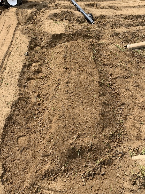 f:id:tomtom1ono:20210515224912j:plain