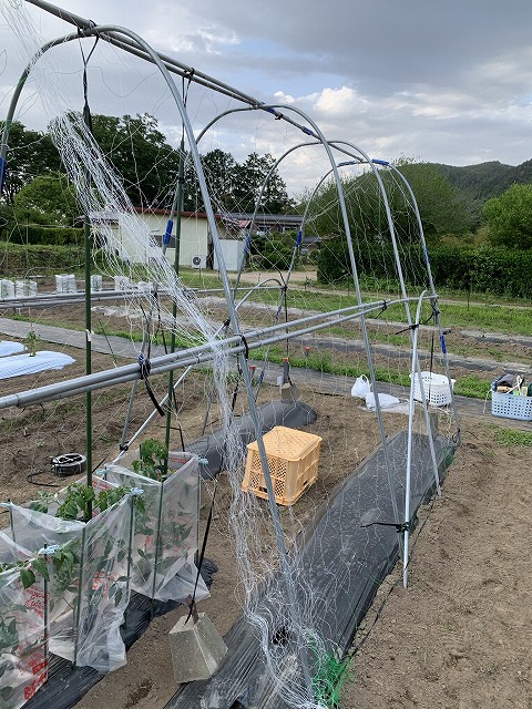 f:id:tomtom1ono:20210525204841j:plain