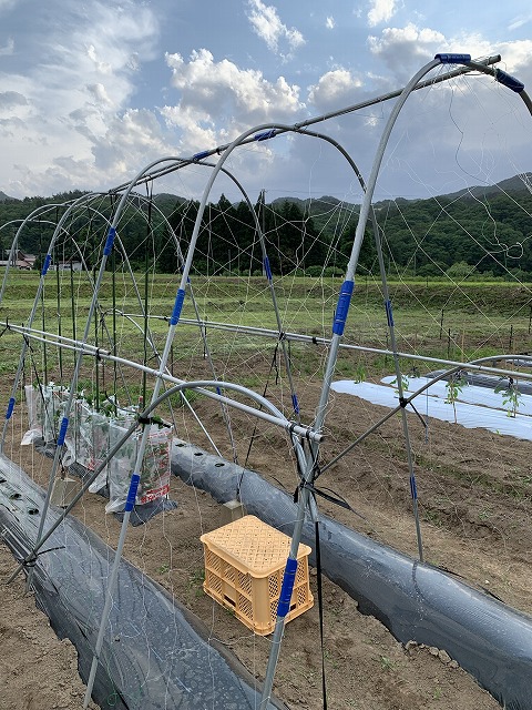 f:id:tomtom1ono:20210525204917j:plain