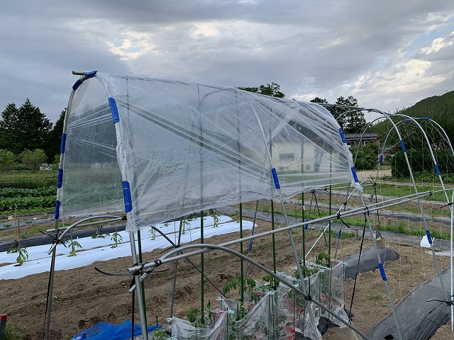 f:id:tomtom1ono:20210525205053j:plain