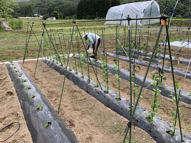 f:id:tomtom1ono:20210525205956j:plain