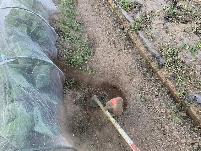 f:id:tomtom1ono:20210530204040j:plain