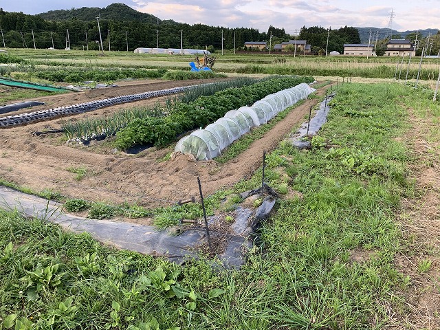 f:id:tomtom1ono:20210530205117j:plain