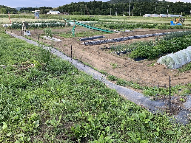 f:id:tomtom1ono:20210530205136j:plain