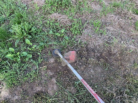 f:id:tomtom1ono:20210530205346j:plain