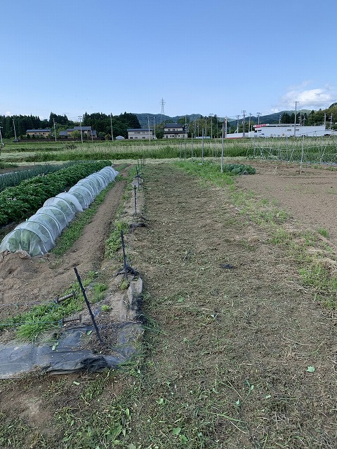 f:id:tomtom1ono:20210530205424j:plain