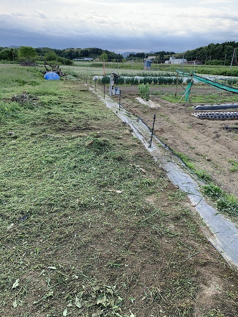 f:id:tomtom1ono:20210530205438j:plain