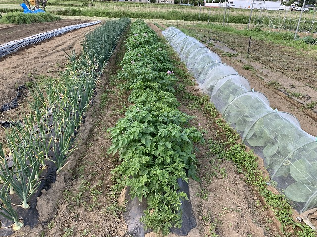 f:id:tomtom1ono:20210530205622j:plain