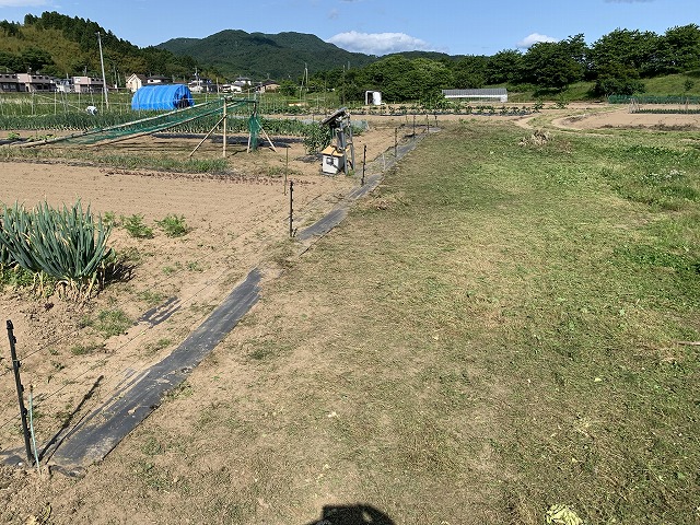 f:id:tomtom1ono:20210530210124j:plain