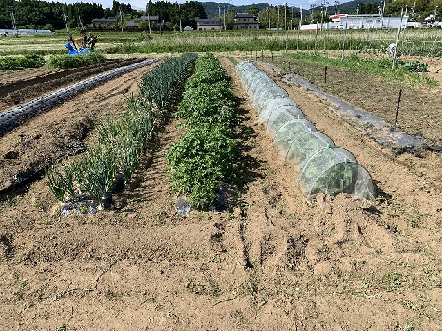 f:id:tomtom1ono:20210530210233j:plain