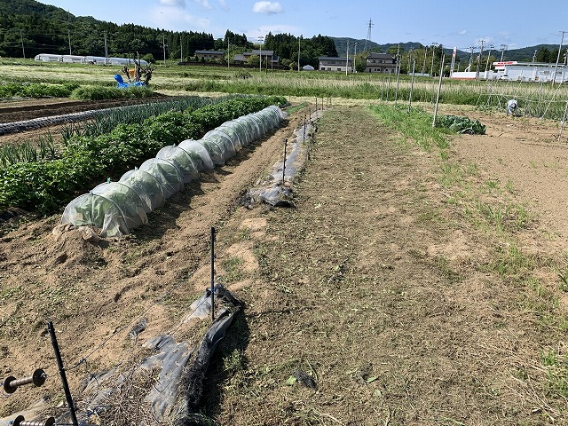 f:id:tomtom1ono:20210530210303j:plain