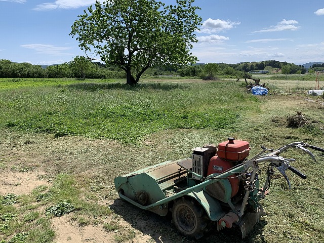 f:id:tomtom1ono:20210530211759j:plain