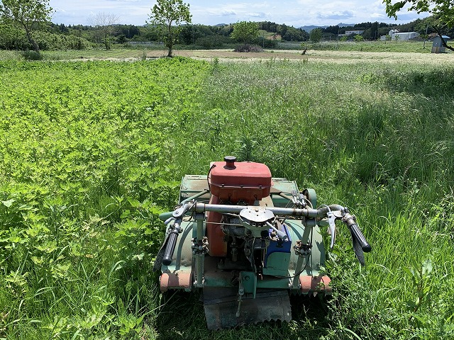 f:id:tomtom1ono:20210530211842j:plain