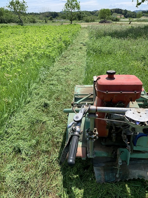 f:id:tomtom1ono:20210530211904j:plain