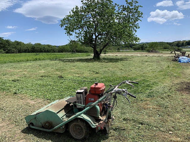 f:id:tomtom1ono:20210530211958j:plain